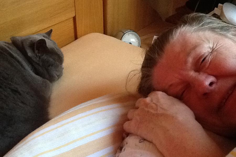 2015-05-30 import Eva ipad 30.5.2015